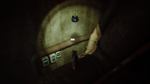 20240819212503_1