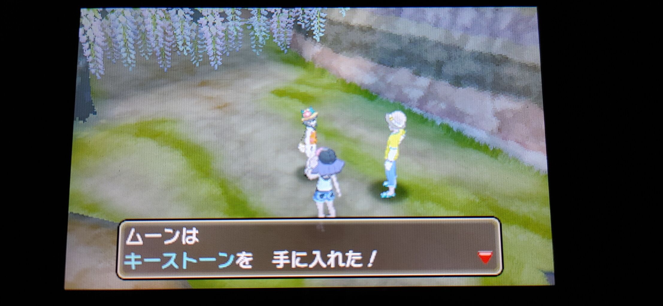 ポケモンusum Z を捕まえろ 終花みずきのゲーム日和2nd ポケモンusum Z を捕まえろ 終花みずきのゲーム日和2nd