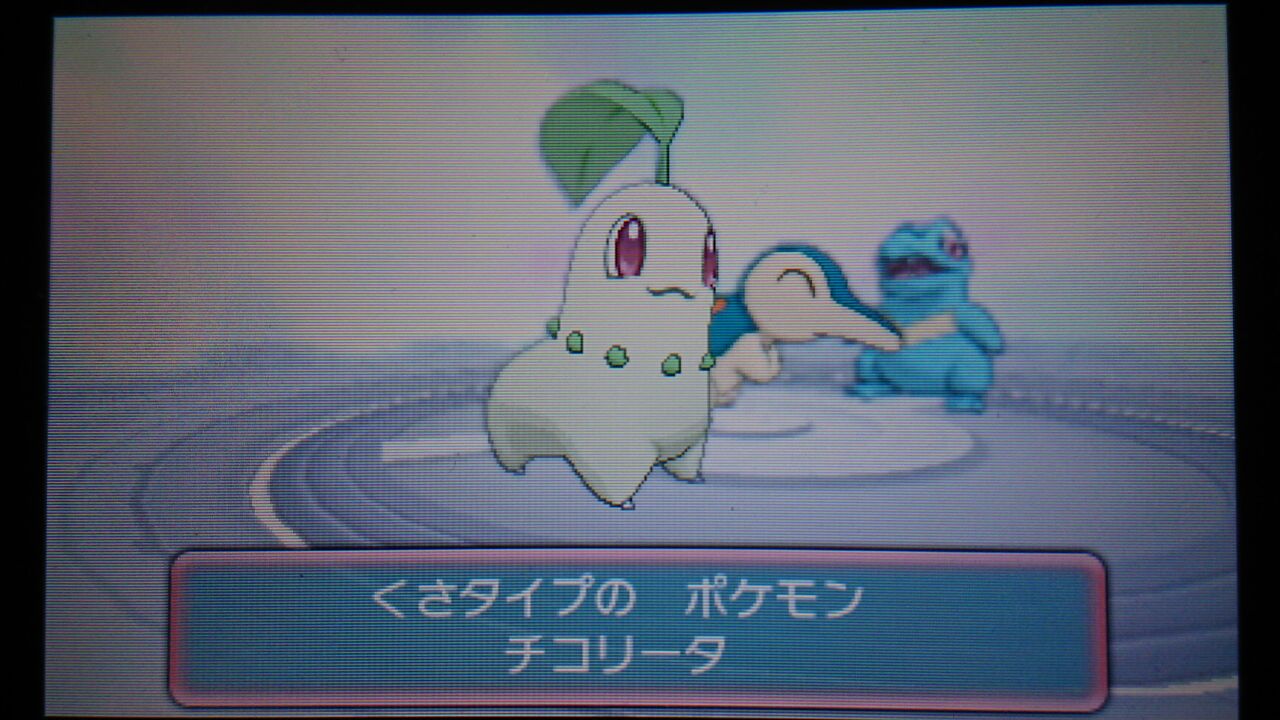 ポケモンoras 余裕だと思っていました 終花みずきのゲーム日和2nd ポケモンoras 余裕だと思っていました 終花みずきのゲーム日和2nd