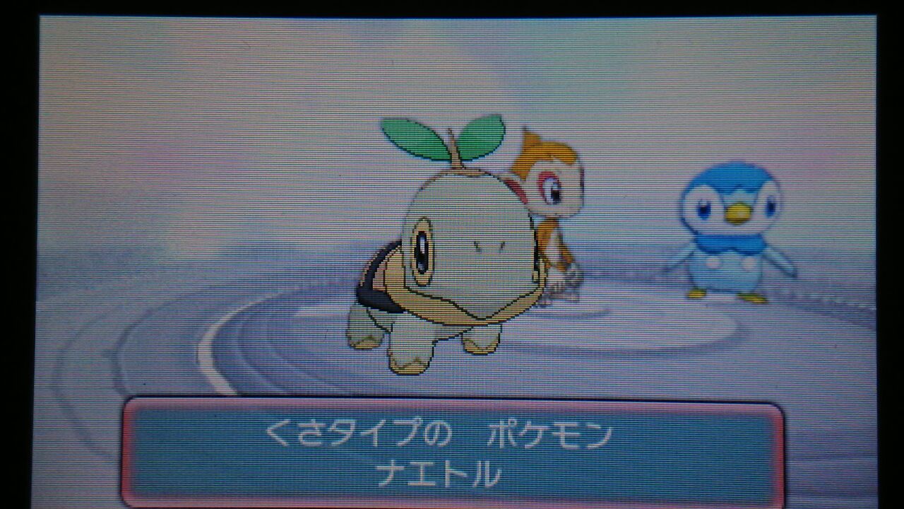 ポケモンoras 余裕だと思っていました 終花みずきのゲーム日和2nd