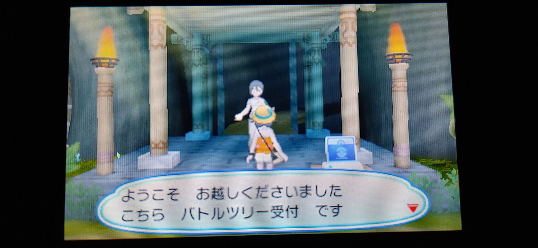 ポケモンusum 無口な生ける伝説 終花みずきのゲーム日和2nd ポケモンusum 無口な生ける伝説 終花みずきのゲーム日和2nd