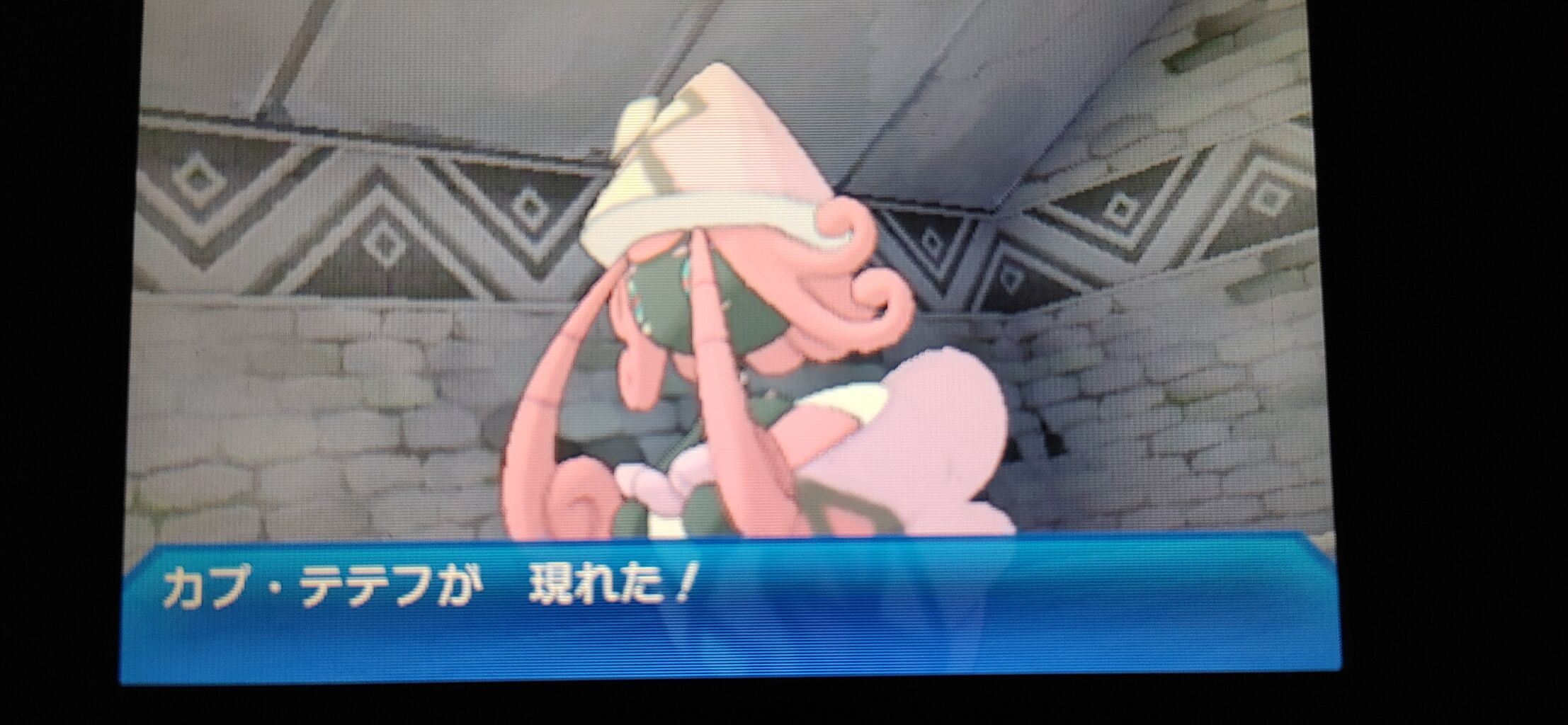ポケモンusum とちがみ たちを捕まえろ 終花みずきのゲーム日和2nd