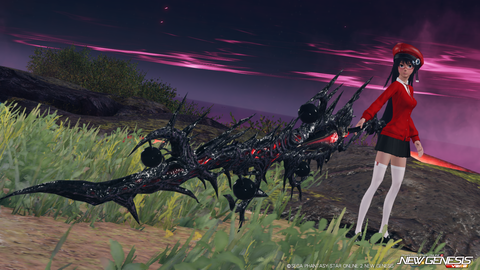 pso20250226_192332_018