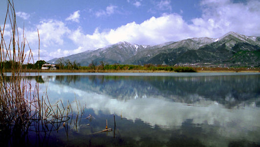 エッセー スーダラ雑感 連載第6回 みずきりょう