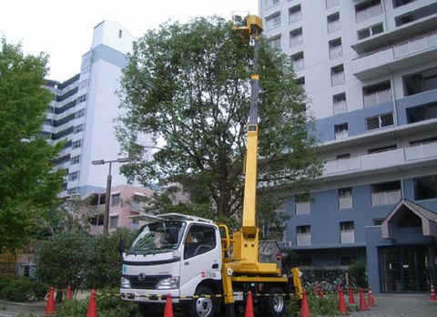 32：樹木の管理