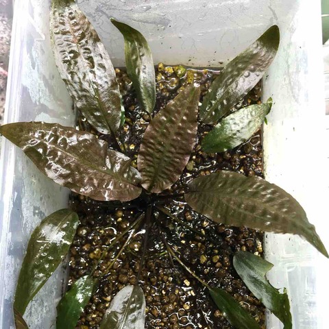 3A85BB38-B75A-491B-9516-C8959FE3BB33