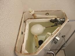yjimage5QZMKVGM