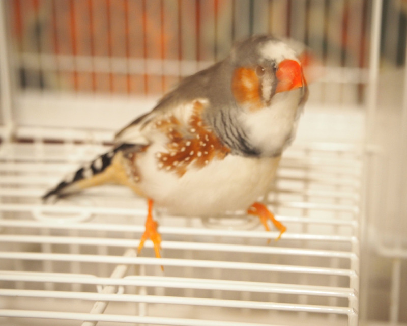 946c3a6c.jpg