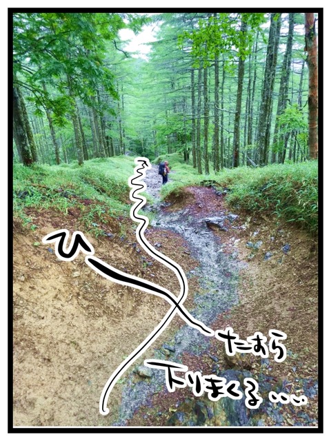 2C9AEC18-CC5C-49FE-8279-4B7194C0F1B5