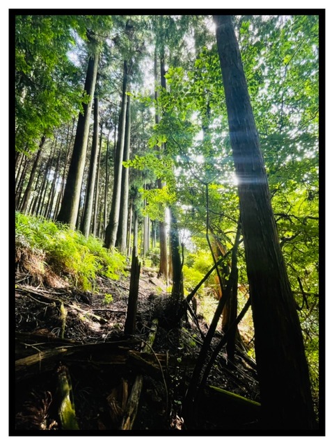 73759DAA-35F4-45EA-BF6F-5152E7DFAE32