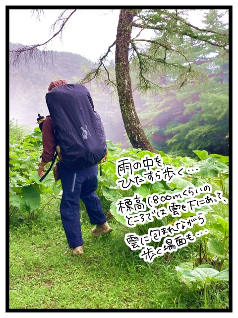 0733C757-5DAC-4E81-9AF9-C4FEB1F576B2