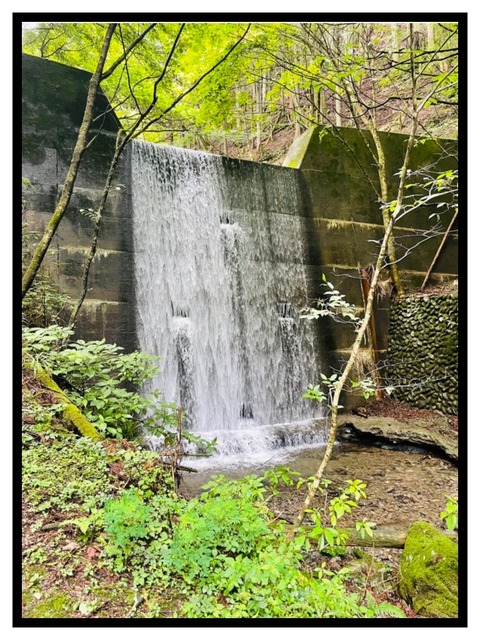 CAFFA31F-995E-4446-82C9-C7C9A9FC9794