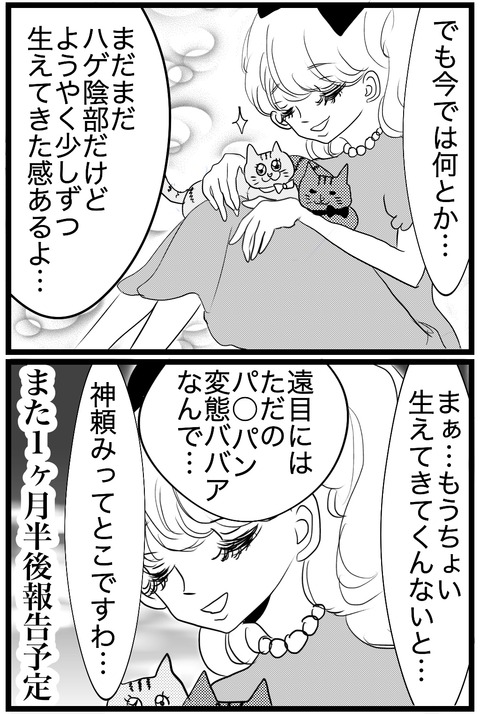 C3FE6A4C-8800-4739-BF7D-FC31345F0805