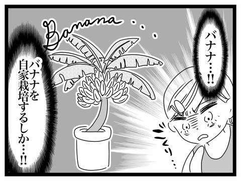 無題2812_20240710211134