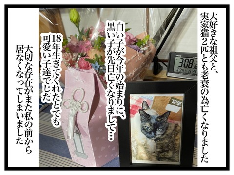 8816942E-45D2-4066-8B67-C194509EA931