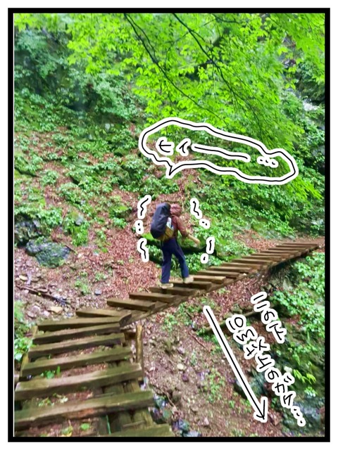 68D55366-2B00-4D30-B96B-41D1FAC4E1A3