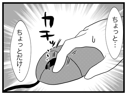 8121B301-7C4E-4BBC-A783-2220071498E1