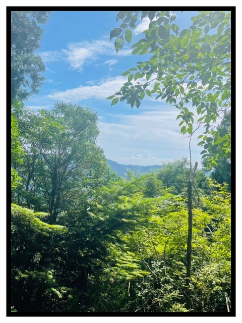 18508A8E-61B8-4293-A4B2-D74C504CB8EA