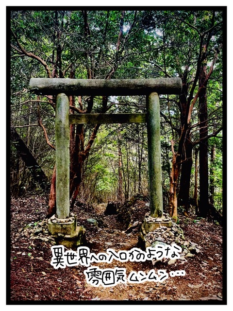 79C5DD11-DA48-4DA2-85CD-591F6B14F125