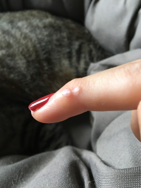 11136A68-CDA2-4B2D-8C75-C6B0DE0D52F9