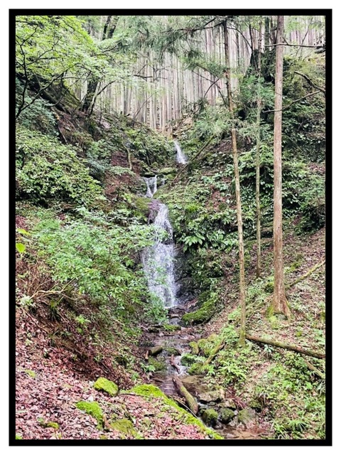 109AA361-4049-4D4E-B019-9CAAFEF11B6D