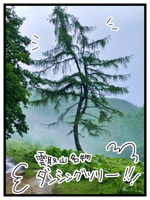 48CA98CB-71DE-43AF-B674-9255F7BB2C0E