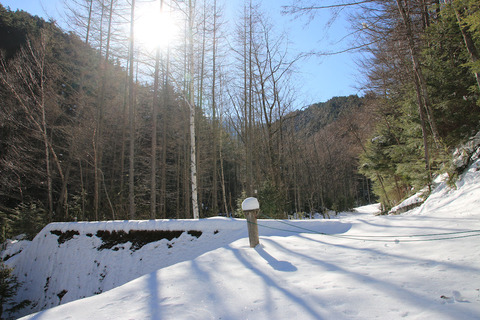 sIMG_4302