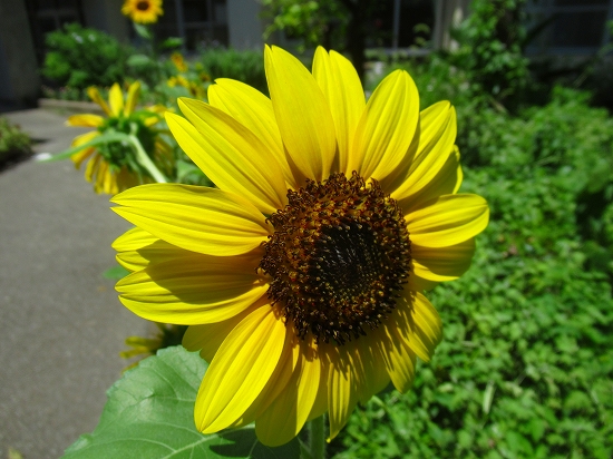 2021-07-22_15286