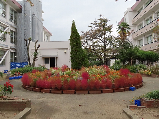 2023-11-06_5973