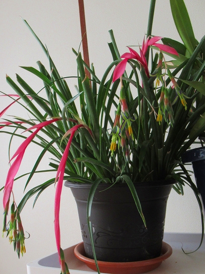 2021-02-04_10275 (3)