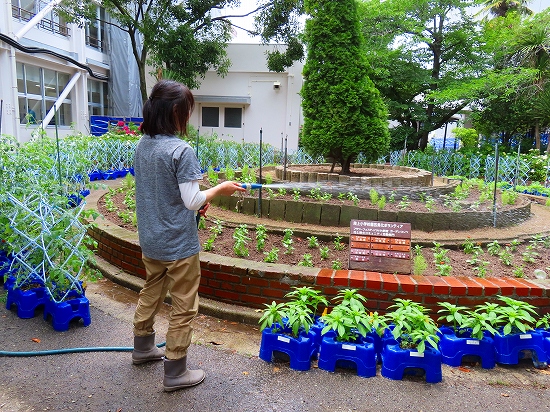 2023-06-18_2650