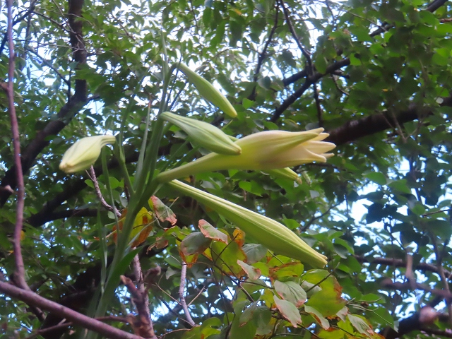 2026-07-27_28419