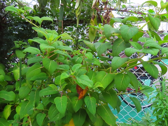 2025-08-13_20570