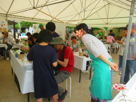 今日は当市のフラワーフェスティバル お手伝いに行って来たよ : 花好きおばあさんの 園芸ボランティア日記