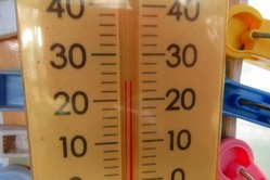 2021-11-04_2499