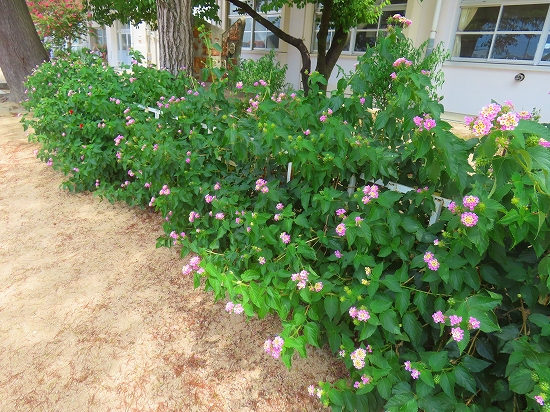 2025-08-05_20470