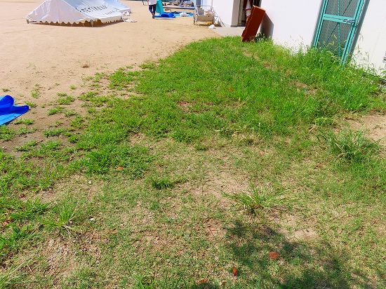 2023-08-21_4166