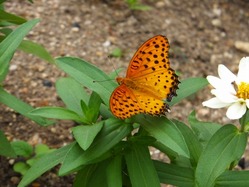 2016-07-24_9677