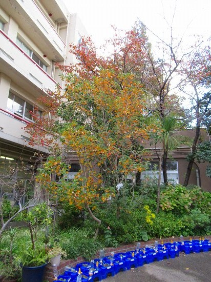 2019-11-14_5487