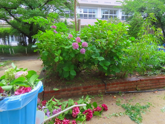 2026-07-05_27958