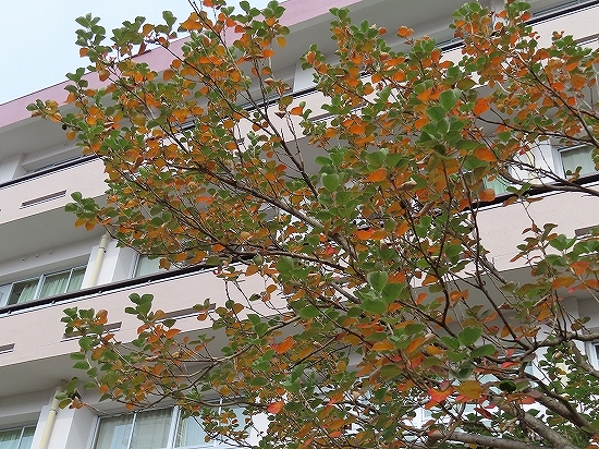 2023-11-04_5880