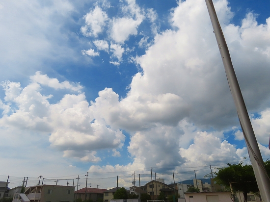 2025-09-03_20989