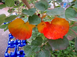 2019-11-14_5489