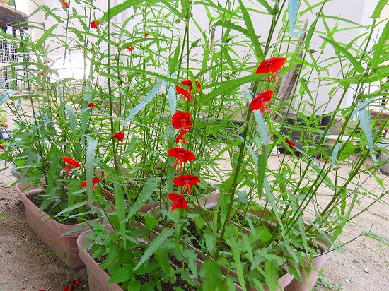2024-08-12_12705