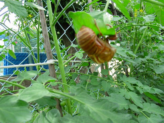 2019-07-08_1624