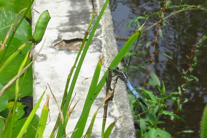 2022-07-11_3473 (2)