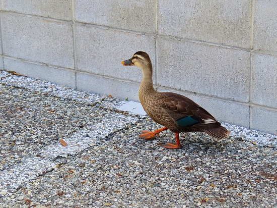 2023-08-23_4218