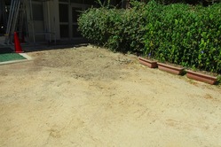 2022-07-29_3976