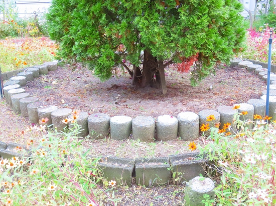 2024-11-17_14623
