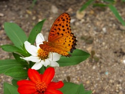 2016-07-24_9675